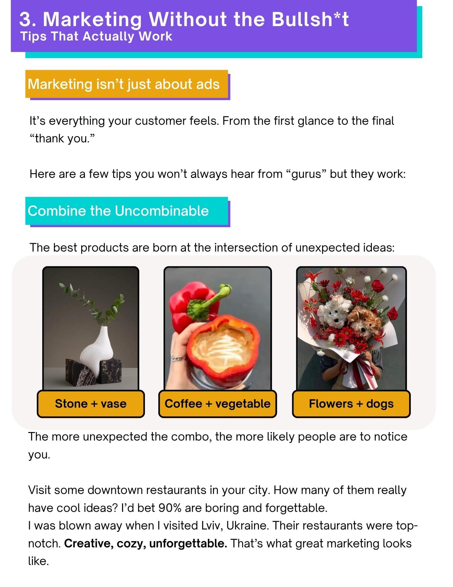 No Fluff Marketing Guide | From Zero to Launched in 7 Days